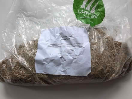 Photo of free Grass seed (Harringay Ladder N8) #2