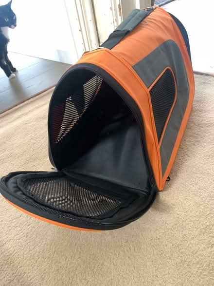 Photo of free Collapsible pet carrier (N8 Harringay Ladder) #3