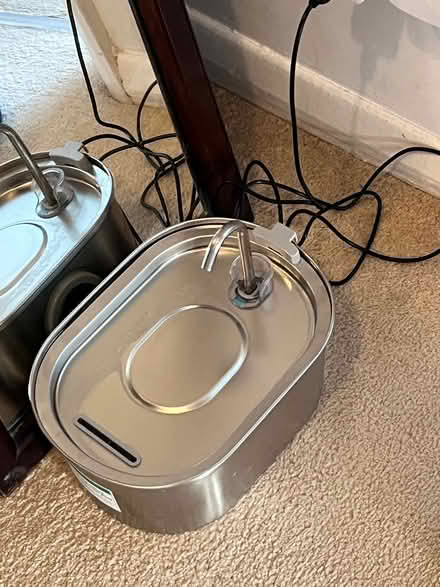 Photo of free Cat fountain (Beckenham BR3) #1
