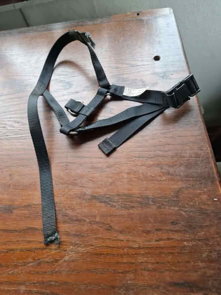 Photo of free Halti Size 3 (CT2) #1