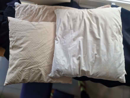 Photo of free 3 pillows filled with feathers (Bog Gate TW9) #1