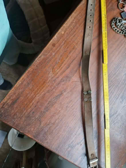 Photo of free Leather Dog Collar (CT2) #1
