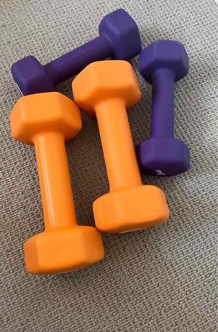 Photo of 2kg and 6kg dumbells (Primrose Hill) #1