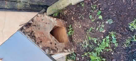 Photo of free Cat shelter (Mitcham CR4) #1