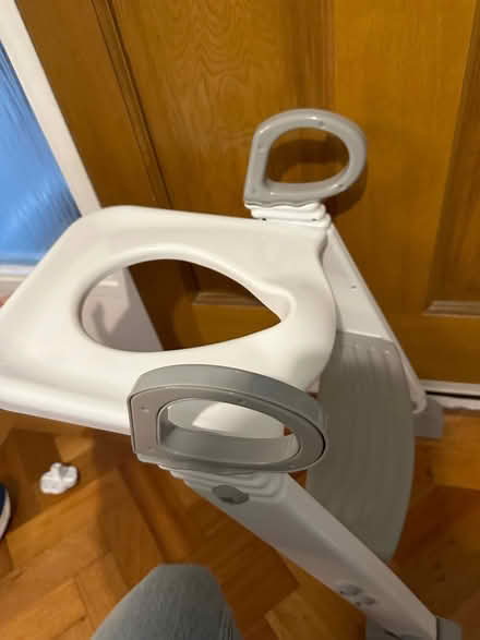 Photo of free Child’s toilet seat ladder (Maiden Erlegh Nature Reserve RG6) #1