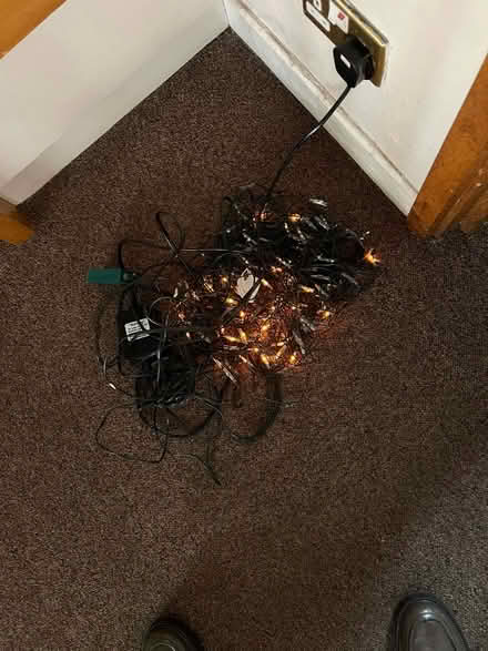 Photo of free Net of working fairy lights (Teddington TW11) #3
