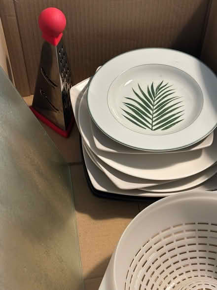 Photo of free Plates mugs etc (SY2) #2