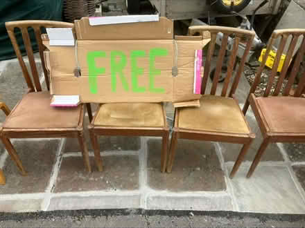 Photo of free Wood Dining Chairs (BA2) #1