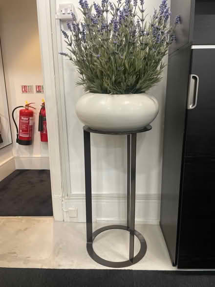 Photo of free Planters on pedestal SW7 5RB (Sw7 5RB) #1