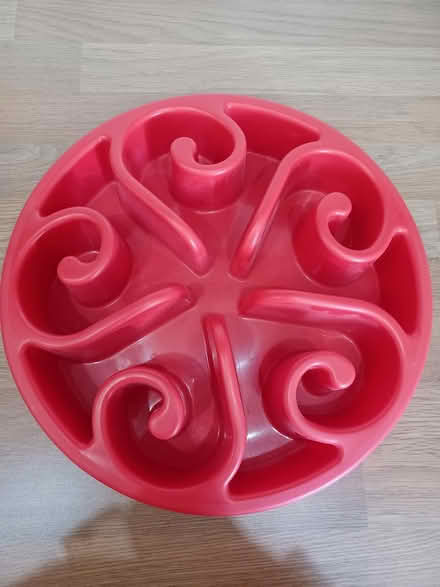 Photo of free Slow feed dog bowl (North Shields NE30) #1