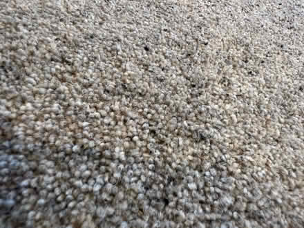 Photo of free Carpet off cut 167x199cm (Welwyn AL7) #3