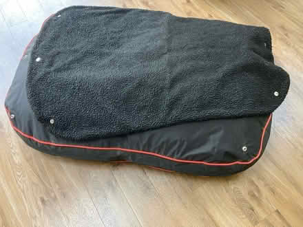 Photo of free Dog bed (Shirley CR0) #1