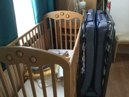 Photo of free Cot (Brighton BN2) #1