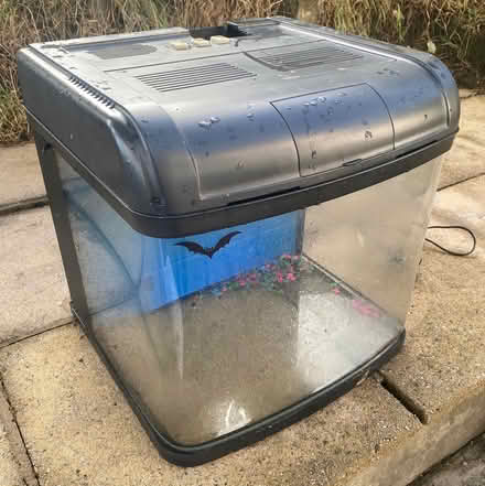 Photo of free 50L Fish Tank (Greengates BD10) #2