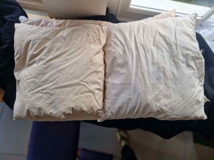Photo of free 3 pillows filled with feathers (Bog Gate TW9) #2