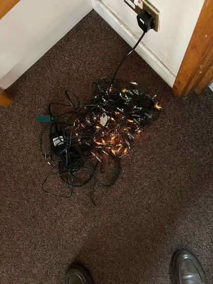 Photo of free Net of working fairy lights (Teddington TW11) #1