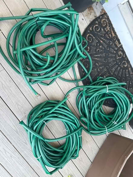 Photo of free 3 100ft garden hoses (Stoneham (Spot Pond area)) #1