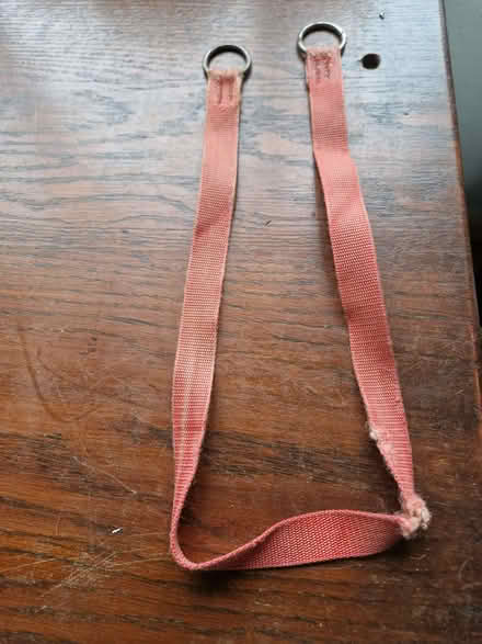 Photo of free Nylon Dog Collar (CT2) #1