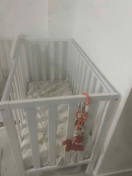 Photo of free cot bed with mattress (Dagenham) #3