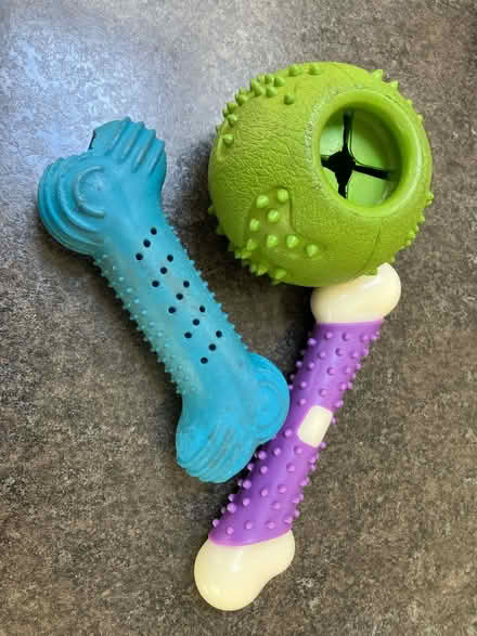 Photo of free Dog toys (Shirley CR0) #1