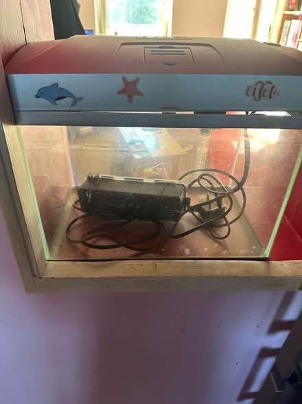 Photo of free Indoor fish tank (Bethnal green E1) #3