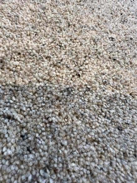 Photo of free Carpet off cut 167x199cm (Welwyn AL7) #2