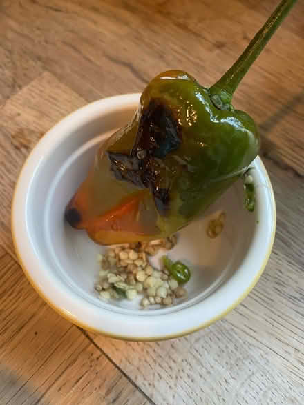 Photo of free Organic spicy Padron pepper seeds (Herne Hill, SE24) #1