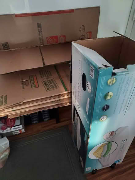 Photo of free Moving Boxes (little ferry) #1