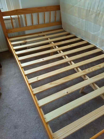 Photo of free Double bed (Stroud Green N4) #1