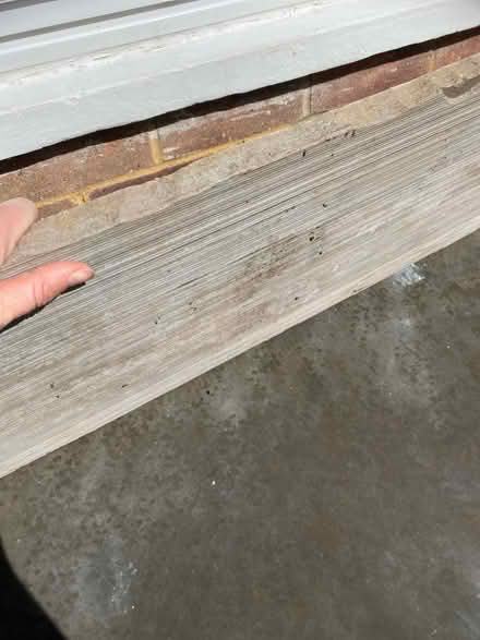 Photo of free Thick outdoor grey stone (Welwyn Garden City (AL7)) #2