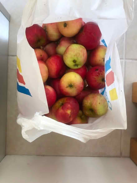 Photo of free Apples - eating and crumble (Lexden CO3) #1