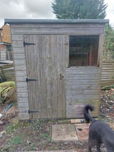 Photo of free shed (Cox Green SL6) #2