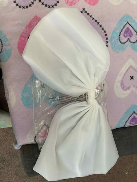Photo of free Large bow accessory (SE25 selhurst) #1