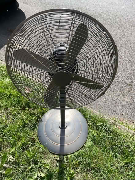 Photo of free Pedestal fan (Elmers End BR3) #1