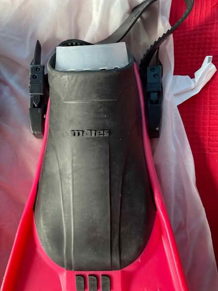 Photo of free Fins (Ashford, TN24) #4