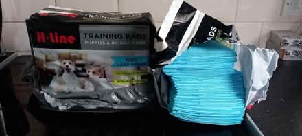 Photo of free Puppy pads (TF1) #1