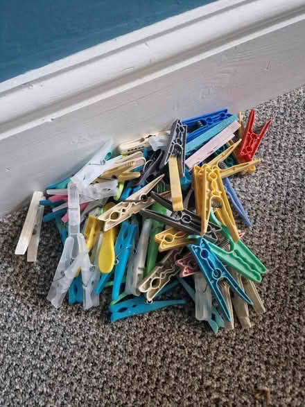 Photo of free Pegs (Ilford IG1) #1