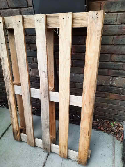 Photo of free Pallet x1 (Westleigh WN7) #1
