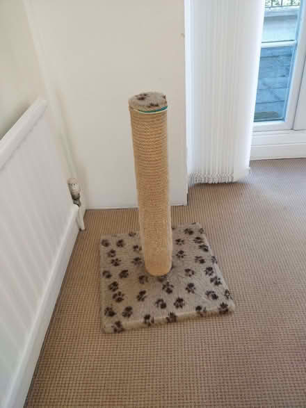 Photo of free Another cat scratching post (Enfield EN2) #1