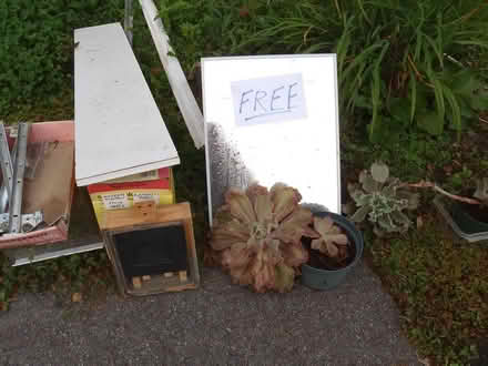 Photo of free stuff at curb (south) #1