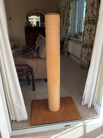Photo of free Very tall scratching post for multiple cats (Little Malvern WR14) #1