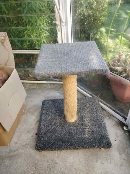 Photo of free Cat scratching post (Enfield EN2) #1