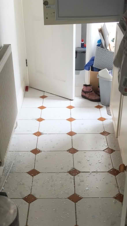 Photo of Glass fridge shelf 18”x16” (The Rushes, LE11) #1