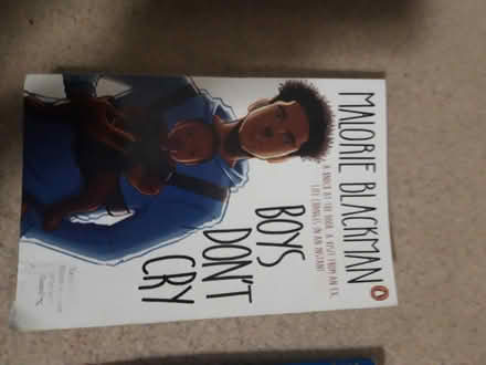 Photo of free Books for age 11+ readers (Handsworth S13) #2