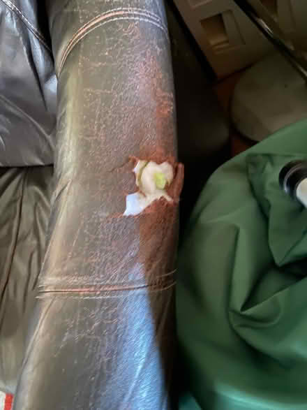 Photo of free Brown Leather sofa & chair (Keynsham) #3