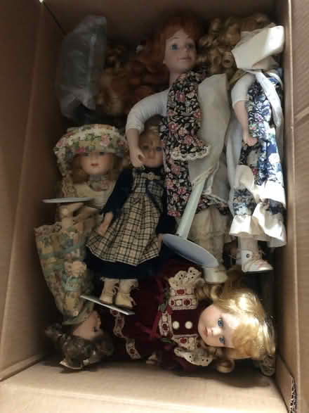 Photo of free Collectible dolls (Earlham NR5) #1
