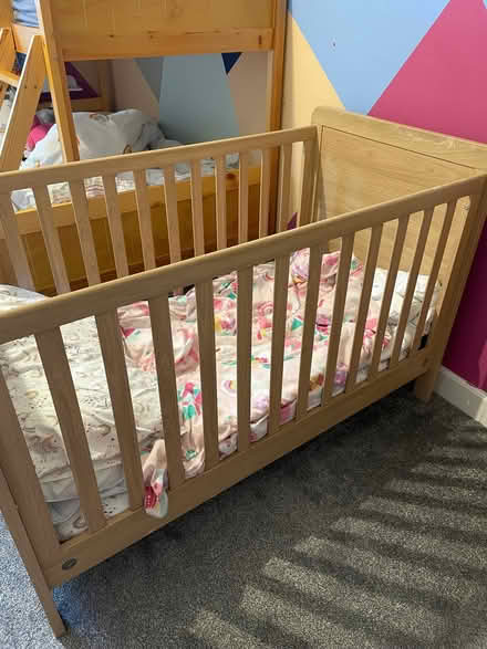 Photo of free Baby and toddler cot/bed (Bridge of Allan FK9) #3
