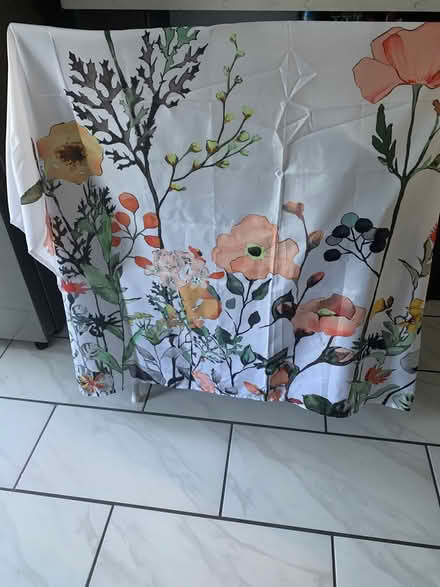 Photo of free Shower curtain (Brooklyn, NY) #2