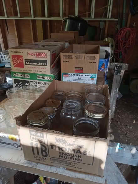 Photo of free Homestead Give-Away (Central Amherst) #4