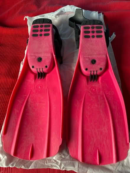 Photo of free Fins (Ashford, TN24) #2